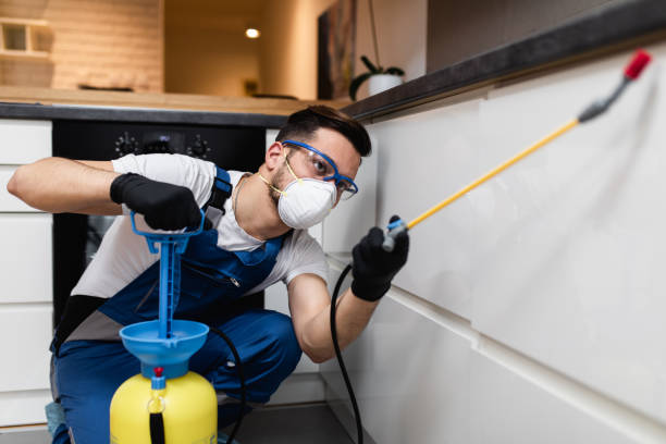Best Mosquito Control Services  in Ferndale, CA