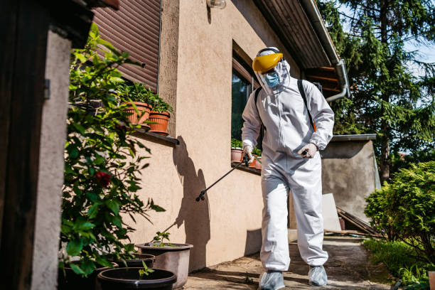 Best Pest Removal Services  in Ferndale, CA