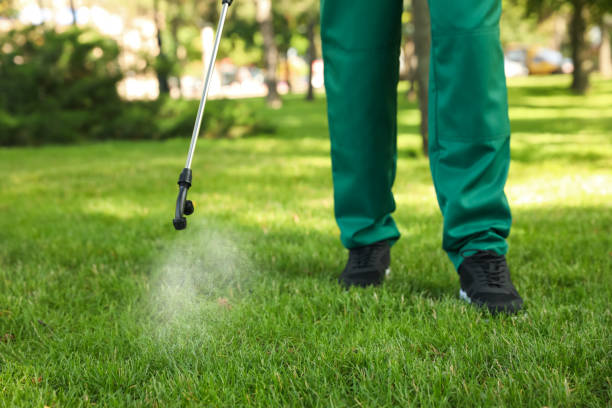 Best Pest Control Near Me  in Ferndale, CA