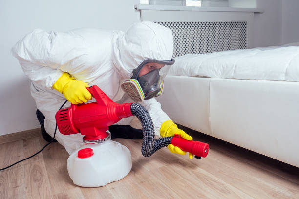 Best Ant Control Services  in Ferndale, CA