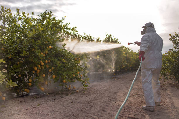 Pest Control Cost in Ferndale, CA